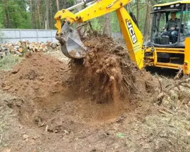 фото Корчевание пней с помощью Экскаватора-погрузчика JCB 3CX, 4CX Super