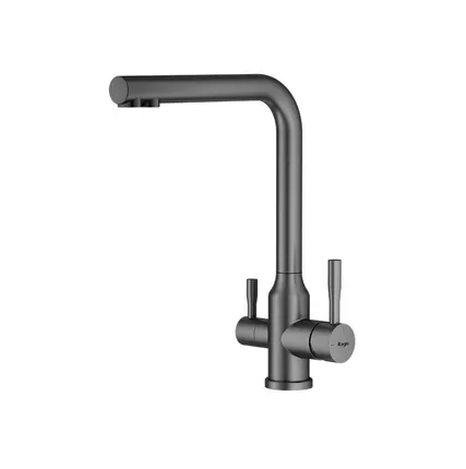 Фото №0 Смеситель для кухни с краном для фильтра RAGLO R81.61.09, цвет: графит