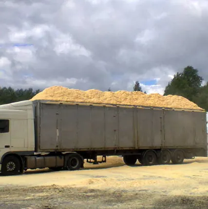 Фото №0 Перевозка щепы, опилок, стружки