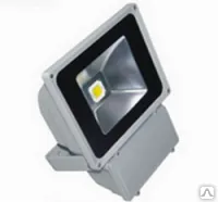 фото ФИТО ПРОЖЕКТОР светодиодный 50 Вт 220 в.