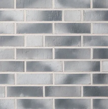 Фото №0 Roben Кирпич Roben MARGATE 21 NF (240x115x71)