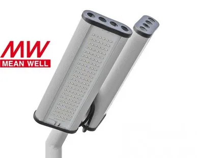 фото Светильник уличный ССМК-2, 100 MEAN WELL