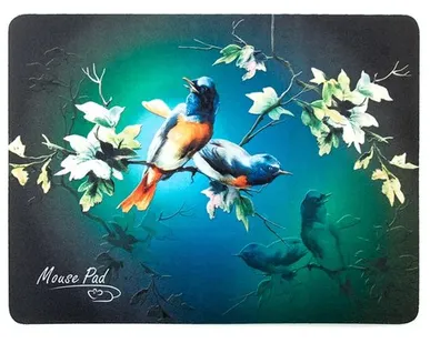 фото Коврик Dialog PM-H17 Bird