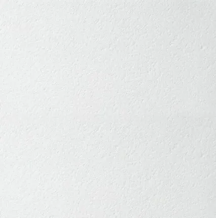 Фото №0 Плита потолочная ARMSTRONG RETAIL Board 600х600х12