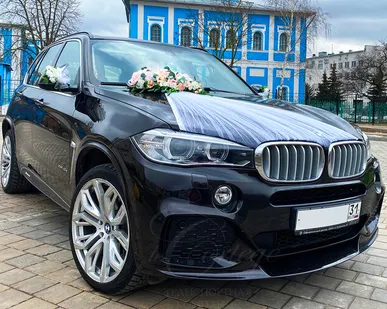 фото BMW X5 F15 (черный)