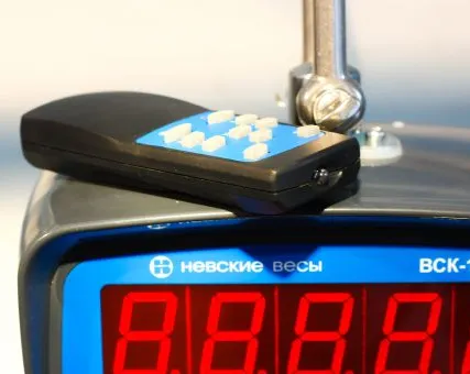 Фото №0 весы крановые ВСК-1000А