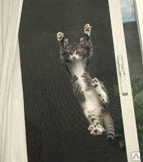 фото Москитная сетка "Антикошка"