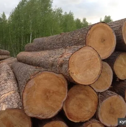 Фото №0 Доска для забора 3 м