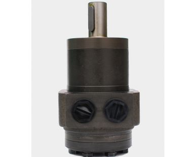 фото Гидромотор MPW40CDM