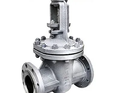 фото 30НЖ15НЖ задвижка из нержавеющей стали от производителя