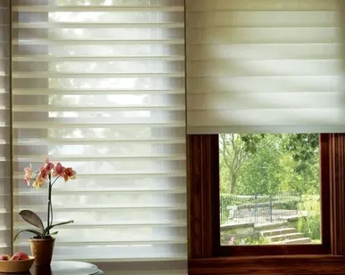 фото Шторы (жалюзи) "Мираж"