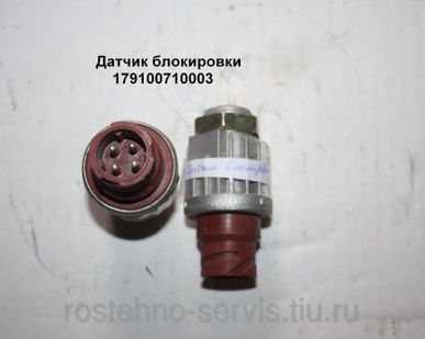 фото Датчик блокировки 179100710003