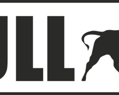 фото Ремонт BULL