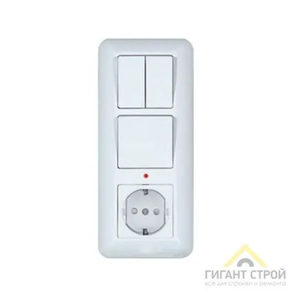 Фото №0 Розетка и выключатель в одном корпусе (2кл выкл+1кл выкл+роз с заземл) Прима