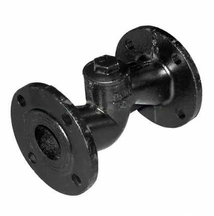 Фото №0 Клапан обратный чугунный 16ч6бр