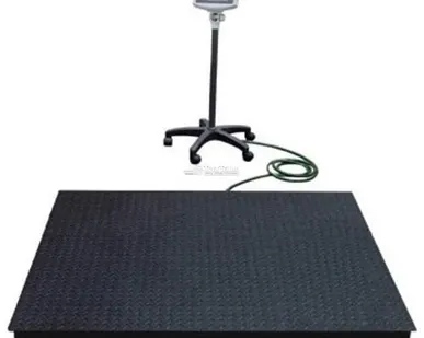 фото Весы платформенные EB4-600 (WI-2R, 1000х1000)