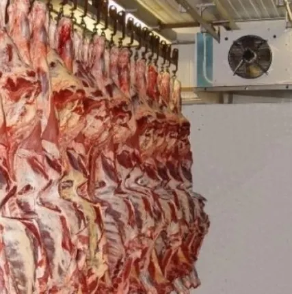 Фото №0 Холодная камера для мяса.
