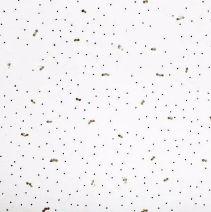 Фото №0 Армстронг (armstrong) плита потолочная "ANGARA" 600*600*7 (уп.8,64 м2/под. 414,72 м2) КМ1