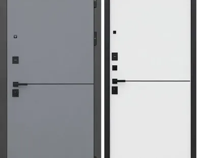 фото Входная дверь Бриг альянс Графит-белая молдинг АСД