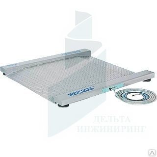 Фото №0 Весы платформенные CAS R-1000