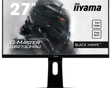 фото Монитор Iiyama G-Master