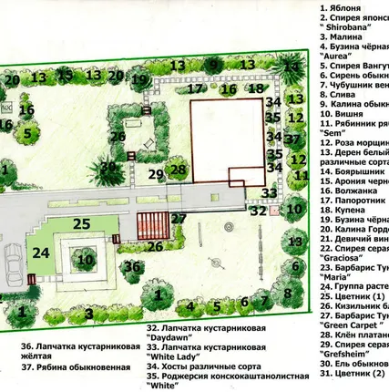 Фото №0 Разработка дендроплана участка с ассортиментной ведомостью.