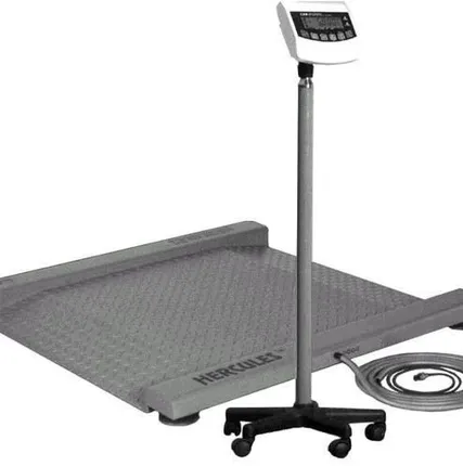 Фото №0 Весы платформенные R-600 масса 74 кг, класс точности Средний-III