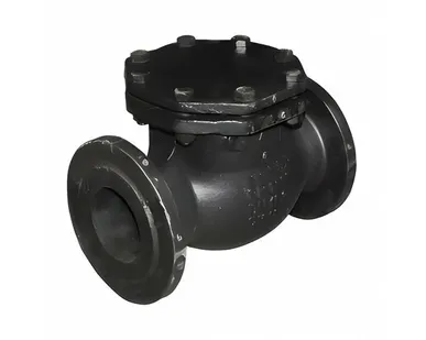 фото Клапан обратный поворотный 19ч16бр