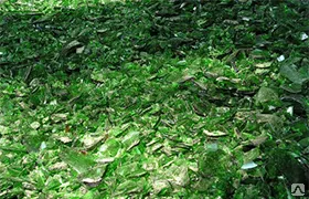 Фото №0 Стеклобой зеленый тарный(ЗС)