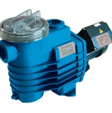 Фото №0 Насос Fiberpool TP300