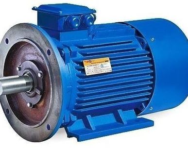 фото Электродвигатель 2В250S-4У2,5