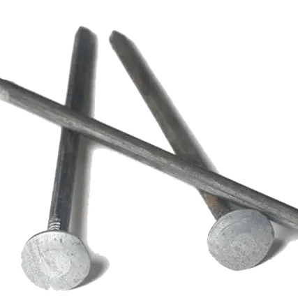 Фото №0 Гвозди шиферные 5,0*120 оцинкованная шляпка