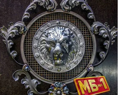 фото К-15 Лев в кустах