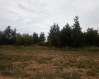 фото Обмен авто на земельные участки