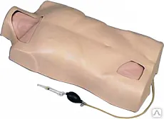 фото Модель для обучения катетеризации центральных вен