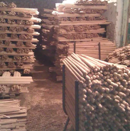 Фото №0 Черенок из березы всех видов