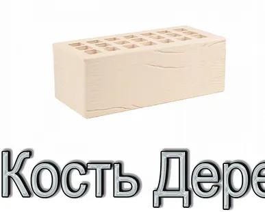 фото Кирпич КР-л-пу 250х120х88/1,4НФ/300/1,4/100 300 слон кость Дерево К