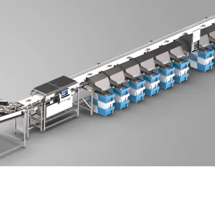 Фото №0 Грейдер Marelec для автоматической сортировки палтуса в Москве