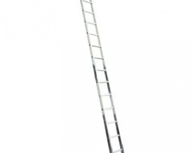 фото Лестница односекционная профессиональная Алюмет P1 9114