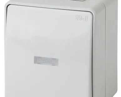 фото Выключатель 1-кл. ОП Эра Эксперт 10А IP65 11-1602-03 250В 10AX с подсветкой сер. Эра Б0035974