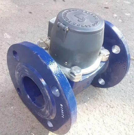 Фото №0 Счетчик воды ВМХм Ду 80 Ру 16