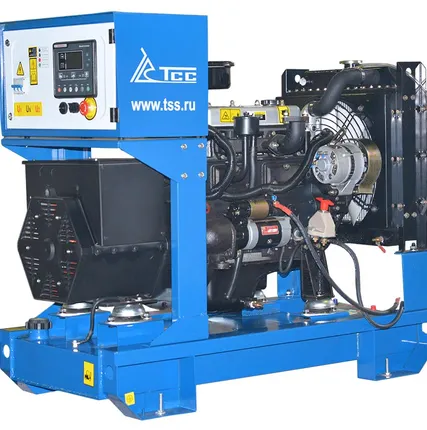 Фото №0 Дизельный генератор ТСС АД-12С-230