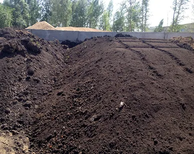 фото чернозем