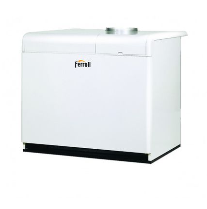 Фото №0 Котел Ferroli Pegasus F3 N 289 2S