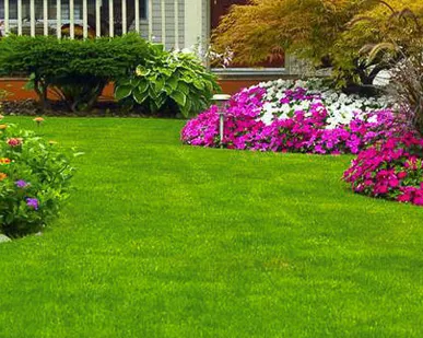 фото Работа по благоустройству и озеленению территории