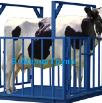 Фото №0 Весы для животных