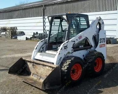 фото Аренда мини-погрузчика Bobcat S175, Домодедово