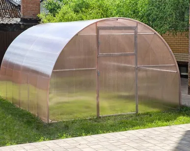 фото Теплица Добрыня