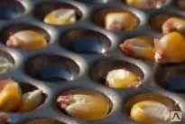 фото Решето для дробилки "украина", толщина 2.0хк