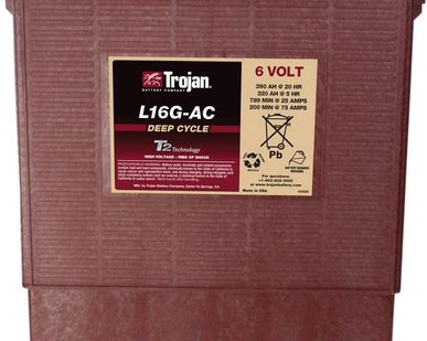 фото Аккумуляторная батарея TROJAN L16G-AC